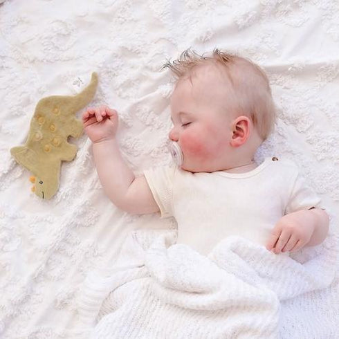 TIKIRI 恐竜 ちょうちょ カシャカシャタオル ベビーおもちゃ Crinkle オーガニックコットン ティキリ