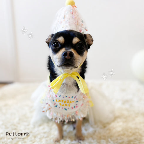 Pettomo うちの子記念 5点セット パーティー バースデー バルーン ペット用 犬 猫 小型犬 ハット ビブ ペットモ