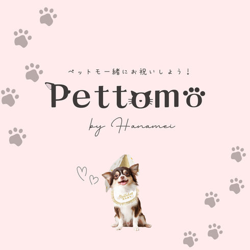 Pettomo うちの子記念 5点セット パーティー バースデー バルーン ペット用 犬 猫 小型犬 ハット ビブ ペットモ