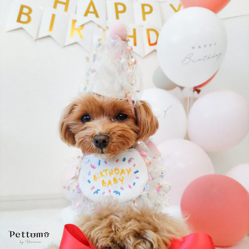 Pettomo うちの子記念 5点セット パーティー バースデー バルーン ペット用 犬 猫 小型犬 ハット ビブ ペットモ