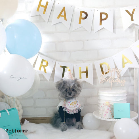 Pettomo うちの子記念 5点セット パーティー バースデー バルーン ペット用 犬 猫 小型犬 ハット ビブ ペットモ