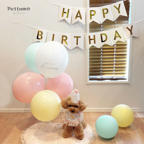 Pettomo うちの子記念 5点セット パーティー バースデー バルーン ペット用 犬 猫 小型犬 ハット ビブ ペットモ