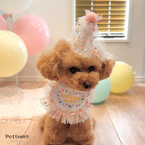 Pettomo うちの子記念 5点セット パーティー バースデー バルーン ペット用 犬 猫 小型犬 ハット ビブ ペットモ