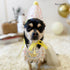 Pettomo party hat set ペット スタイとさんかく帽子のセット ピンク イエロー 犬 猫 ペットモ