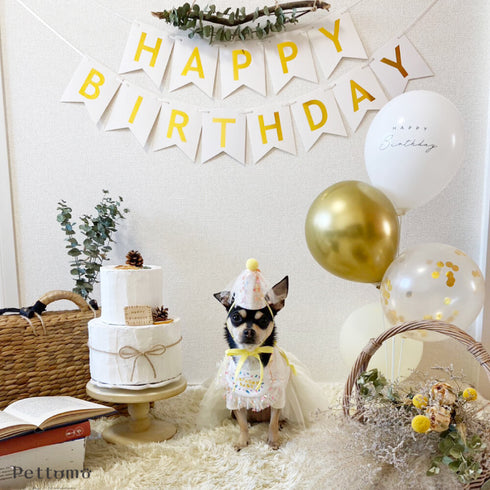 Pettomo party hat set ペット スタイとさんかく帽子のセット ピンク イエロー 犬 猫 ペットモ