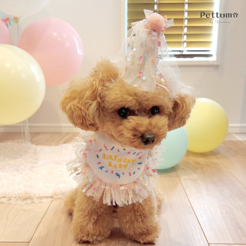 Pettomo party hat set ペット スタイとさんかく帽子のセット ピンク イエロー 犬 猫 ペットモ