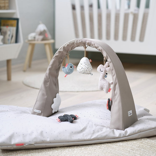 Done by Deer アクティビティジム Activity gym Lalee Sand ラリー サンド プレイジム ダンバイディア