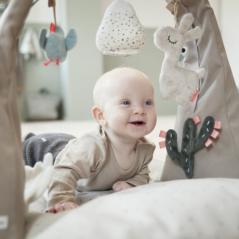 Done by Deer アクティビティジム Activity gym Lalee Sand ラリー サンド プレイジム ダンバイディア