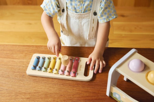 PolarB ハンマーシロフォン 木製おもちゃ 楽器 ハンマー TYPR44270 ポーラービー