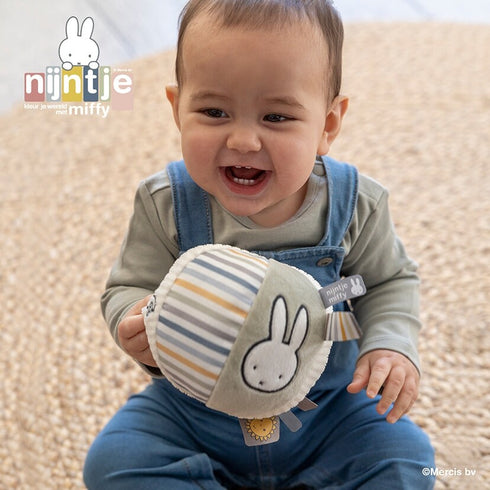 miffy ミッフィー ベビーボール フラッフィー ブルー 布製おもちゃ TYMIFNIJN913