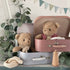 Egmont Toys お着換えモリセット in ペーパートランク モリス Morrissette with clothes in a case EGM700099 エグモントトイズ