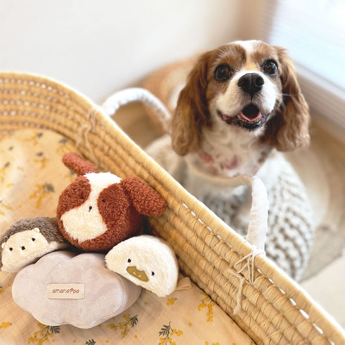 amanoppo もちふわブロック ふわふわ + 森のおともだち お洗濯できるギフト向けの布ブロック あまのっぽ