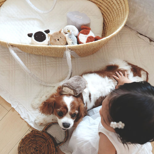 amanoppo もちふわブロック ふわふわ + 森のおともだち お洗濯できるギフト向けの布ブロック あまのっぽ