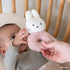miffy ミッフィー ラトル フラッフィー ピンク 布製おもちゃ ファーストトイ TYMIFNIJN907