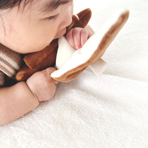 amanoppo もちっとラトル こぐまくんの焼きたてパン あまのっぽ