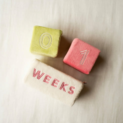 mocmof やわらか マンスリーブロック 布製 おもちゃ 記念撮影 月齢フォト モクモフ