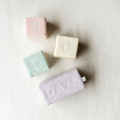 mocmof やわらか マンスリーブロック 布製 おもちゃ 記念撮影 月齢フォト モクモフ