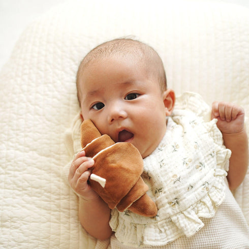 amanoppo もちっとラトル こぐまくんの焼きたてパン あまのっぽ