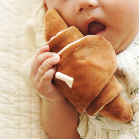 amanoppo もちっとラトル こぐまくんの焼きたてパン あまのっぽ