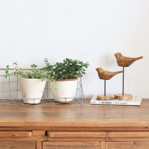 NEIN MARKE パイン バードスタンド Lサイズ 木製 インテリア雑貨 鳥 ナインマーケ