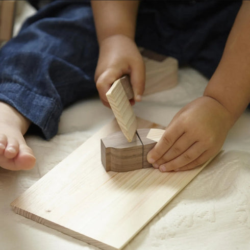 IKONIH ひのきのおもちゃ 食材セット Food set アイコニー