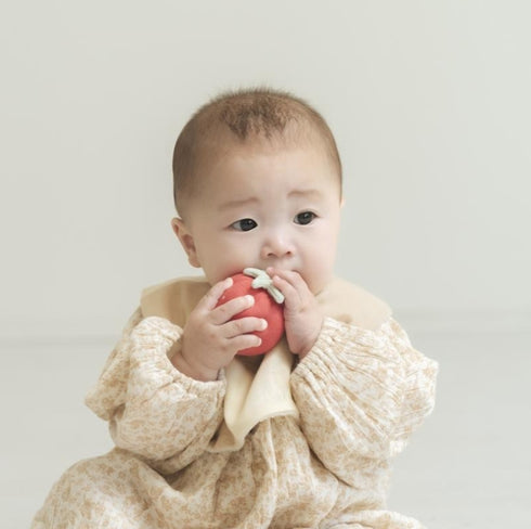 Lien de famille 苺のラトル ベビーおもちゃ いちご K60-167 リヤンドファミーユ