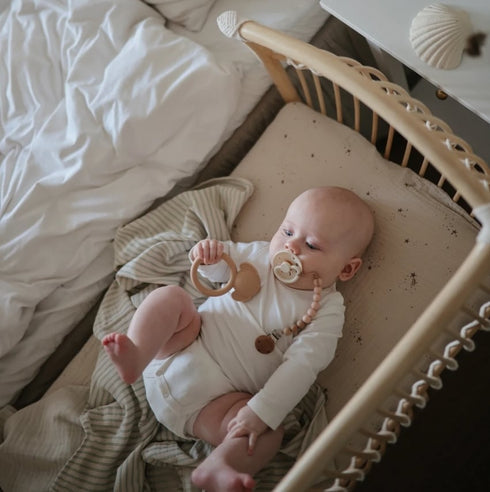 Mushie Animal Teether アニマルティーサー Dog いぬ ムシエ