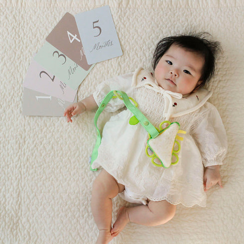 SHAOOL わっかラトル ベビーギフトセット / サンドイッチ ストラップ 月齢カード 選び取りカード