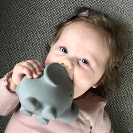 TIKIRI Rattle & Bath Toy Elephant ぞう ラトル&バストイ お風呂のおもちゃ ティキリ