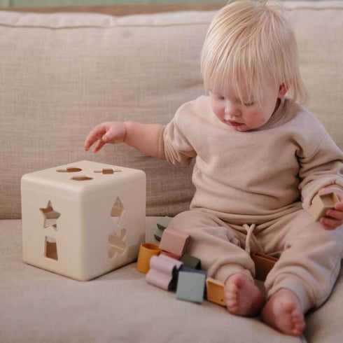 Mushie Shape Sorting Box シェイプソーティングボックス 型はめパズル ムシエ