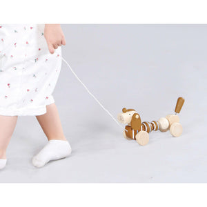 Adnil LAND PULL ALONG PUPPY からだをくねくねさせながらついてくる プル アロング パピー プルトイ 木のおもちゃ アドニルランド