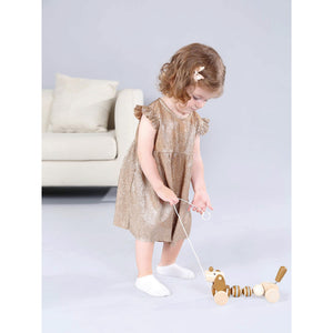 Adnil LAND PULL ALONG PUPPY からだをくねくねさせながらついてくる プル アロング パピー プルトイ 木のおもちゃ アドニルランド