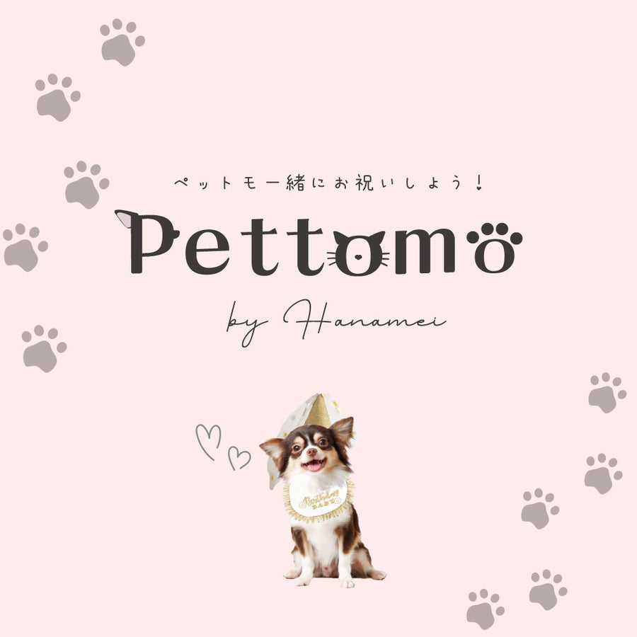 Pettomo うちの子記念 5点セット パーティー バースデー バルーン ペット用 犬 猫 小型犬 ハット ビブ ペットモ