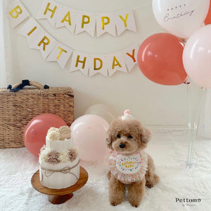 Pettomo うちの子記念 5点セット パーティー バースデー バルーン ペット用 犬 猫 小型犬 ハット ビブ ペットモ