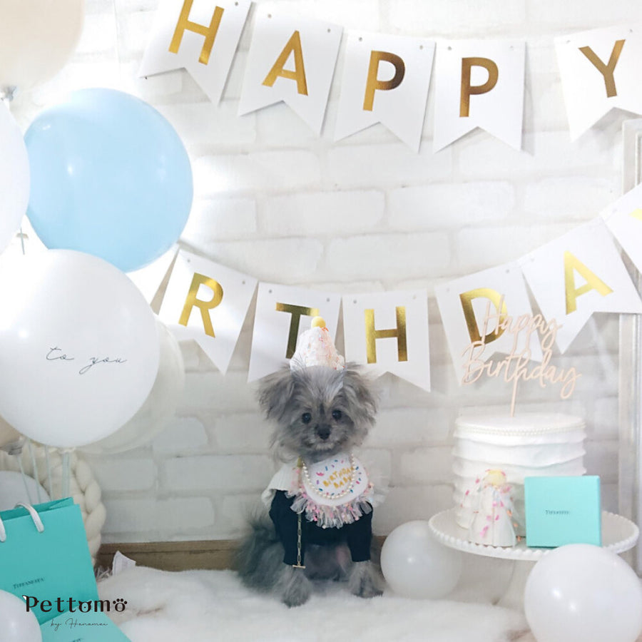 Pettomo うちの子記念 5点セット パーティー バースデー バルーン ペット用 犬 猫 小型犬 ハット ビブ ペットモ