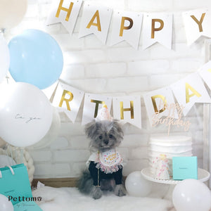 Pettomo うちの子記念 5点セット パーティー バースデー バルーン ペット用 犬 猫 小型犬 ハット ビブ ペットモ