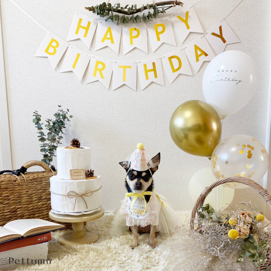 Pettomo うちの子記念 5点セット パーティー バースデー バルーン ペット用 犬 猫 小型犬 ハット ビブ ペットモ