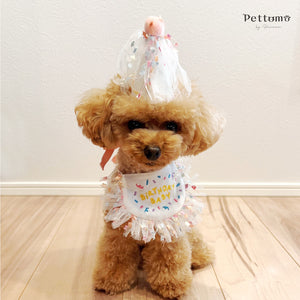 Pettomo party hat set ペット スタイとさんかく帽子のセット ピンク イエロー 犬 猫 ペットモ