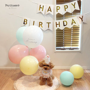 Pettomo party hat set ペット スタイとさんかく帽子のセット ピンク イエロー 犬 猫 ペットモ