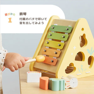 PolarB バニーシリーズ アクティビティボックス / 5in1 楽器 型はめパズル TYPR44291 ポーラービー