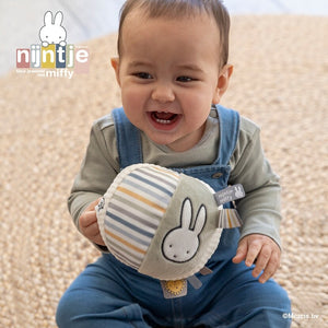 miffy ミッフィー ベビーボール フラッフィー ブルー 布製おもちゃ TYMIFNIJN913