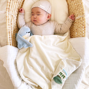 amanoppo ぬいけっと 青い鳥 ぬいぐるみ＆ブランケットセット あまのっぽ