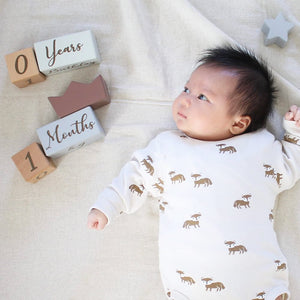 amanoppo アニバーサリーつみき coccole story ベビーギフト あまのっぽ