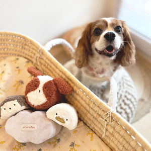 amanoppo もちふわブロック ふわふわ ＋ 森のおともだち お洗濯できるギフト向けの布ブロック あまのっぽ