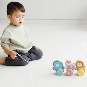 PolarB ポーラービー くねくねトレイン 木製おもちゃ 動物 アニマル プルトイ おさんぽ
