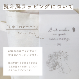 amanoppo えほんとぬいぐるみのセット りすくんとはりねずみくん -出産祝いにおすすめ3点ギフトセット あまのっぽ