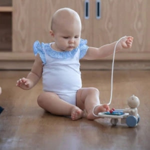 PLAN TOYS PULL-ALONG MUSICAL BEAR ミュージカルベアー 5271 プルトイ 楽器 プラントイ