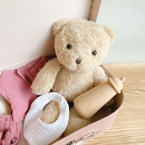 Egmont Toys お着換えモリセット in ペーパートランク モリス Morrissette with clothes in a case EGM700099 エグモントトイズ