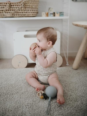 Mushie おしゃぶりケース Mushie Pacifier Case おしゃぶりホルダー アウトレット品 ムシエ