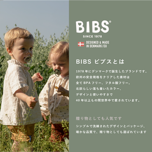 BIBS おしゃぶり2個入 天然ゴム 北欧 サイズ 1 サイズ 2 ビブス